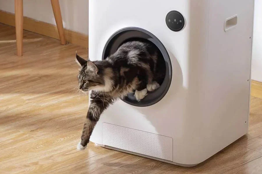 robotic kitty litter box